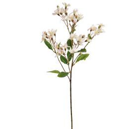 JASMIN SPRAY 60CM CREAM