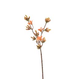 RHODODENDRON SPRAY 90CM ORANGE