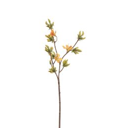 RHODODENDRON SPRAY 90CM YELLOW