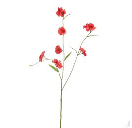 PRIMULA SPRAY 92CM CORAL