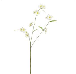 PRIMULA SPRAY 92CM CREAM