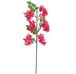 SOPHORA BRANCH 90CM BEAUTY