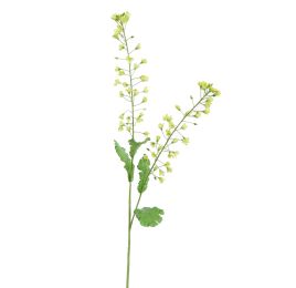 RAPESEED FLOWER 85CM GREEN