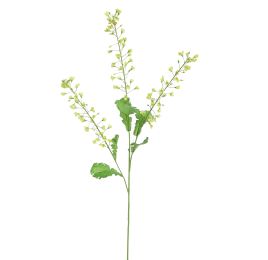 RAPESEED FLOWER 110CM GREEN