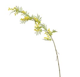 MIMOSA 105CM YELLOW