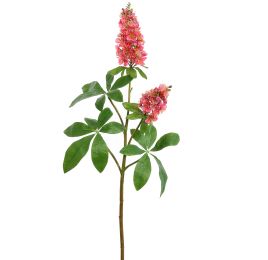 CHESTNUT FLOWER 95CM BEAUTY