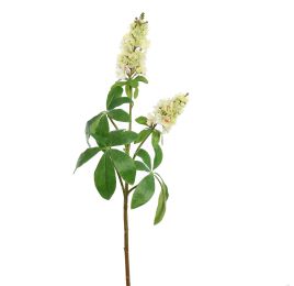 CHESTNUT FLOWER 95CM GREEN