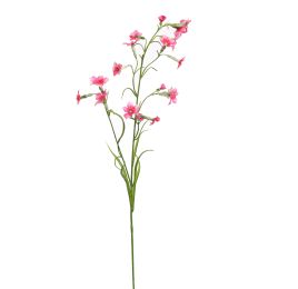 NICOTIANA 80CM BEAUTY