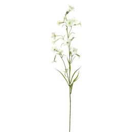 NICOTIANA 80CM CREAM