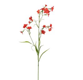NICOTIANA 80CM RED