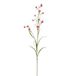 MINI NICOTIANA 75CM BEAUTY