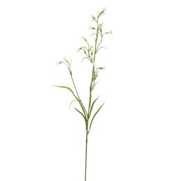 MINI NICOTIANA 75CM CREAM