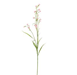 MINI NICOTIANA 75CM PINK