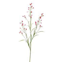 MINI NICOTIANA 110CM BEAUTY