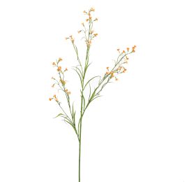 MINI NICOTIANA 110CM ORANGE