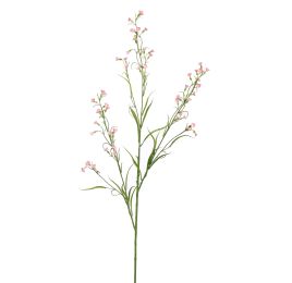 MINI NICOTIANA 110CM PINK
