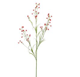 MINI NICOTIANA 110CM RED