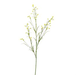 MINI NICOTIANA 110CM YELLOW