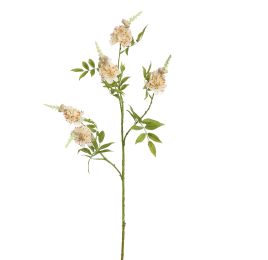 SPIKE BLOSSOM 105CM CREAM