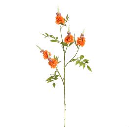 SPIKE BLOSSOM 105CM ORANGE