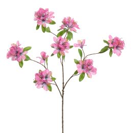 RHODODENDRON 100CM LAVENDER