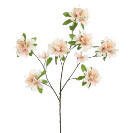 RHODODENDRON 100CM PEACH