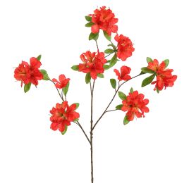 RHODODENDRON 100CM RED
