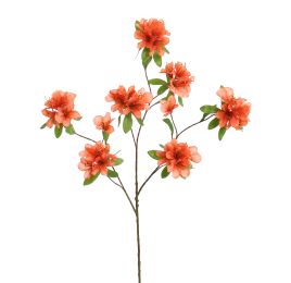 RHODODENDRON 100CM SALMON