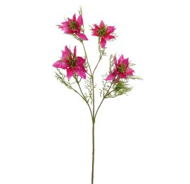 NIGELLA 65CM BEAUTY