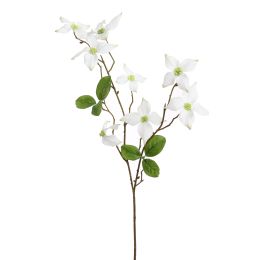 DOGWOOD 68CM CREAM