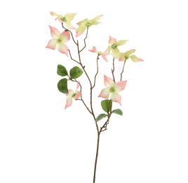 DOGWOOD 68CM PEACH