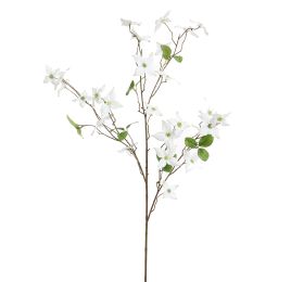 DOGWOOD 120CM CREAM
