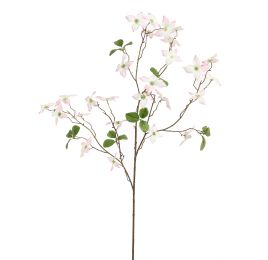DOGWOOD 120CM CREAM PINK