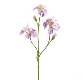 IRIS 82CM LAVENDER