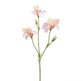 IRIS 82CM LILA