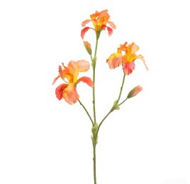 IRIS 82CM ORANGE