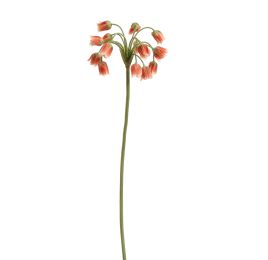 SUMMER BELLS 70CM SALMON