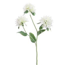 MONARDA FLOWER 67CM CREAM