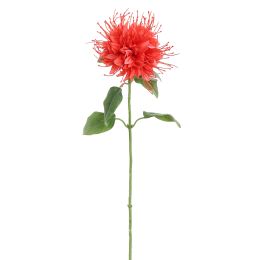 MONARDA FLOWER 75CM CORAL