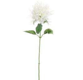 MONARDA FLOWER 75CM CREME