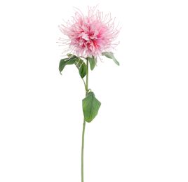 MONARDA FLOWER 75CM CREME PINK