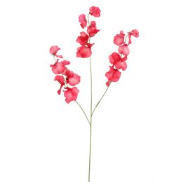 LARGE LATHYRUS 115CM BEAUTY