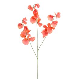 LARGE LATHYRUS 115CM CORAL