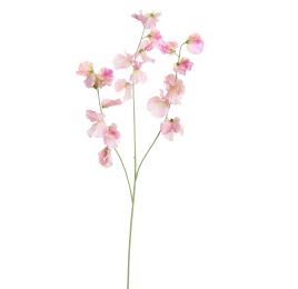 LARGE LATHYRUS 115CM LILA