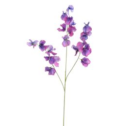 LARGE LATHYRUS 115CM PURPLE