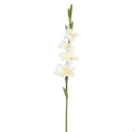 GLADIOLUS 85CM CREAM