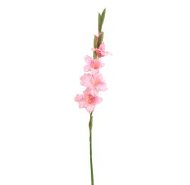 GLADIOLUS 85CM PINK