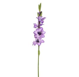 GLADIOLUS 85CM PURPLE