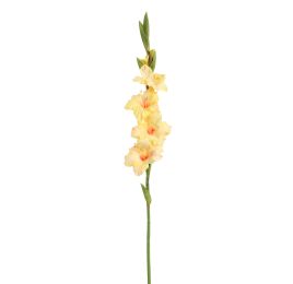GLADIOLUS 85CM YELLOW
