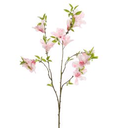 RHODODENDRON 85CM PINK